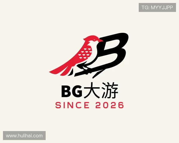 介绍BG大游